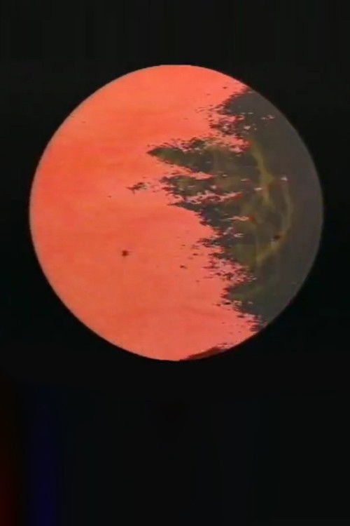 Biddick Farm Performance (1979) poster