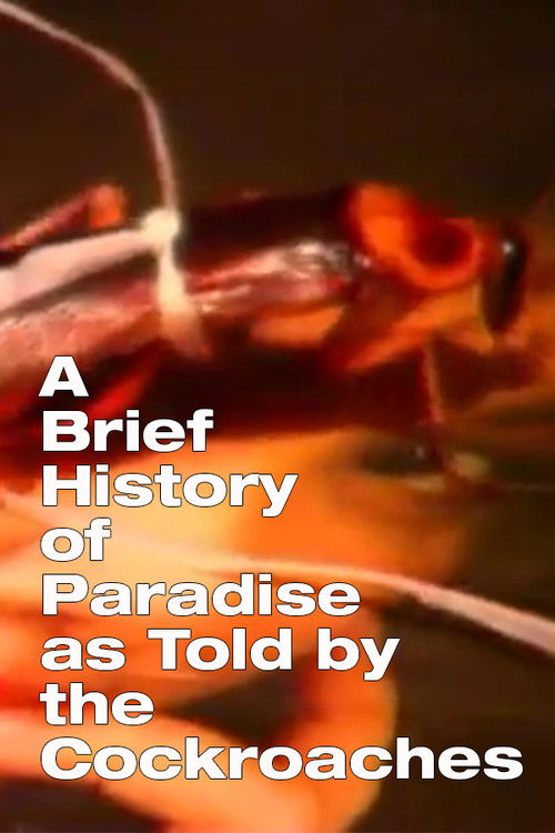 A Brief History of Paradise as Told by the Cockroaches (2003) poster