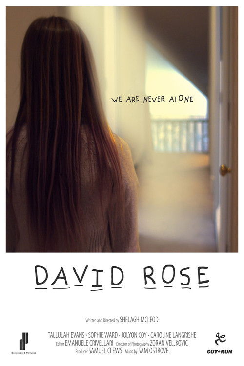 David Rose (2011) poster