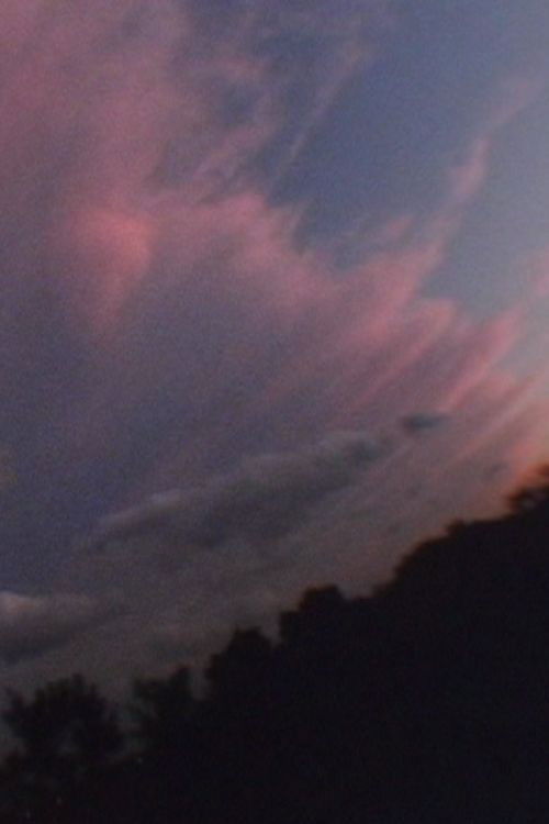 Brilliant Garden (1995) poster