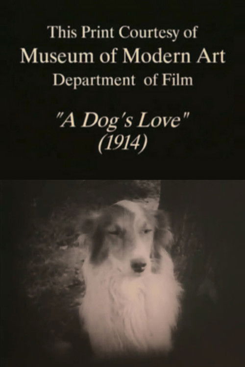A Dog's Love (1914) poster