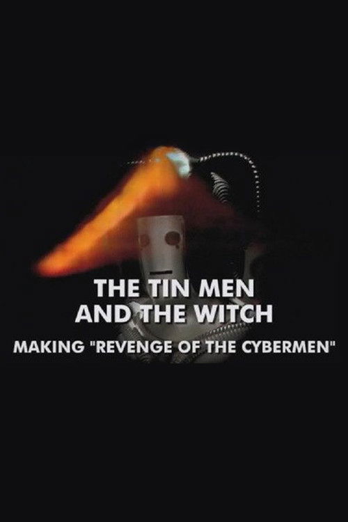 The Tin Men and the Witch (2010) poster