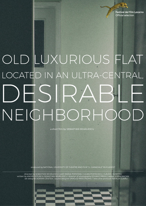 Old, Luxurious Flat Located in an Ultra-Central, Desirable Neighborhood (2016) poster