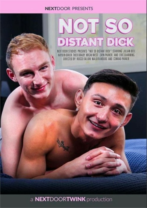 Not So Distant Dick (2022) poster
