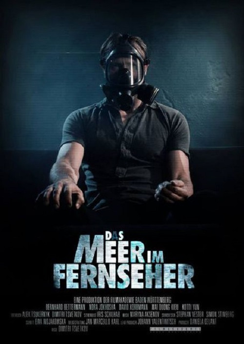 Das Meer im Fernseher (2013) poster