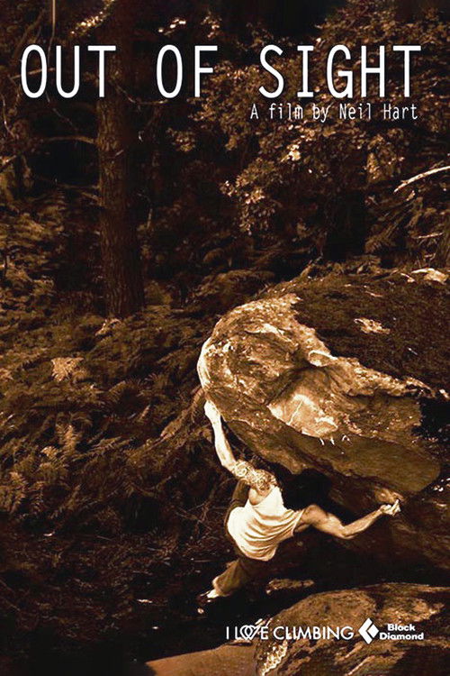 Out of sight (2013) poster