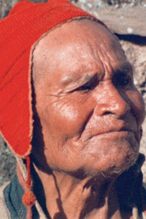 Spirit Possession of Alejandro Mamani (1974) poster