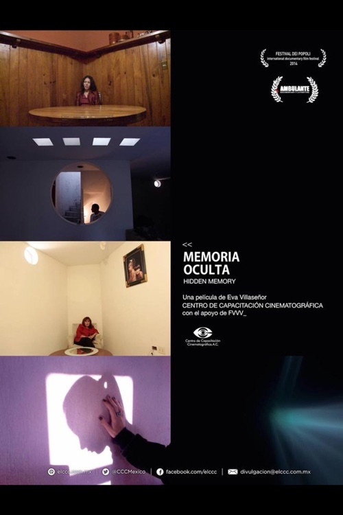 Hidden Memory (2014) poster