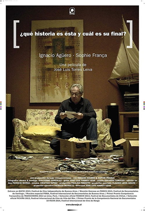 What Is This Story and How Does It End? (2013) poster