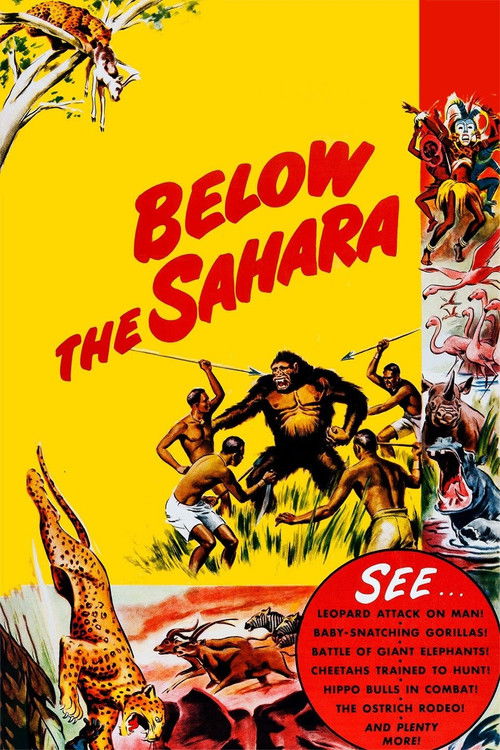 Below the Sahara (1953) poster