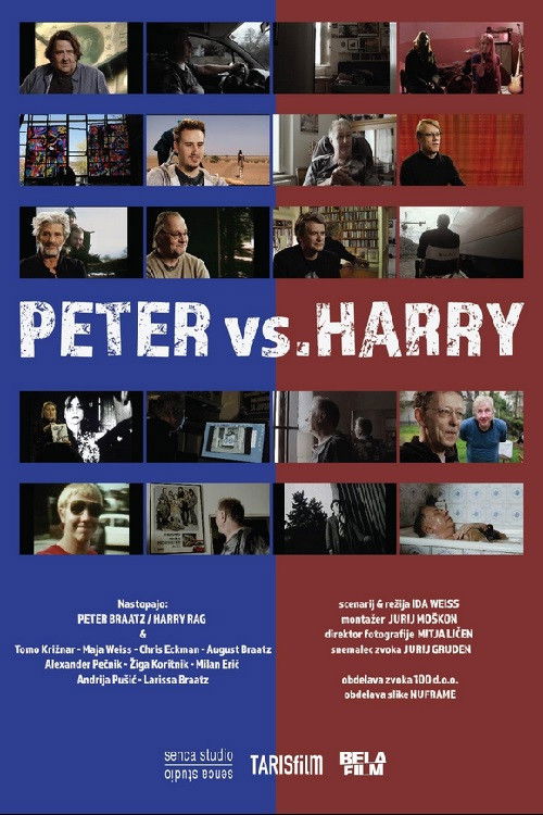 Peter vs. Harry (2018) poster