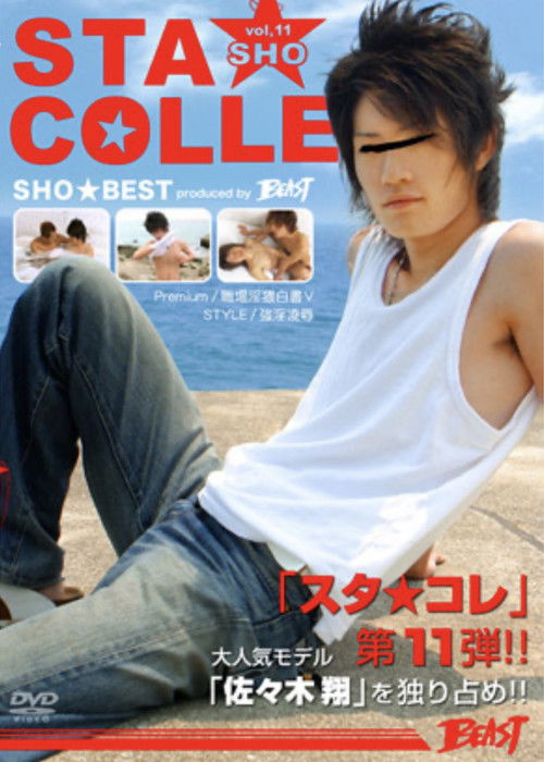 STA★COLLE vol.11 SHO (2010) poster