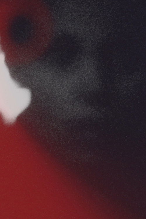 The Visible Spectrum (2022) poster