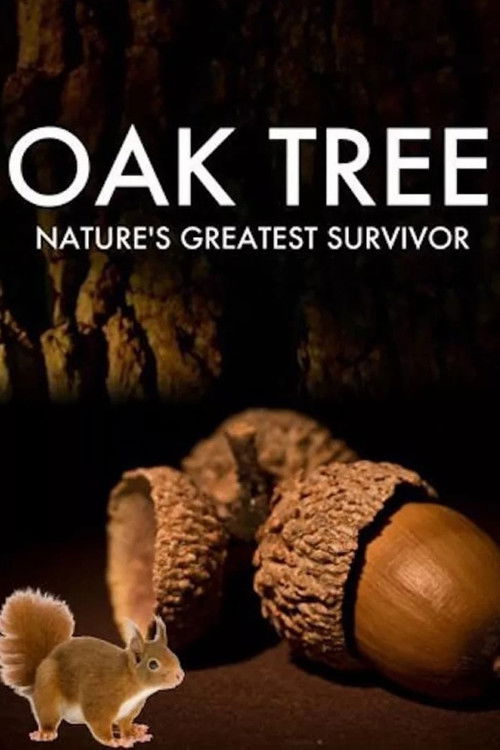 Oak Tree: Nature's Greatest Survivor (2015) poster
