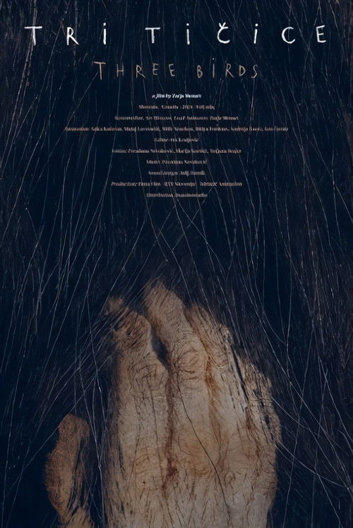 Tri tičice (2025) poster