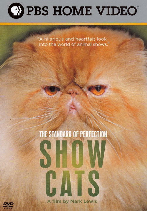 The Standard of Perfection: Show Cats (2006) poster