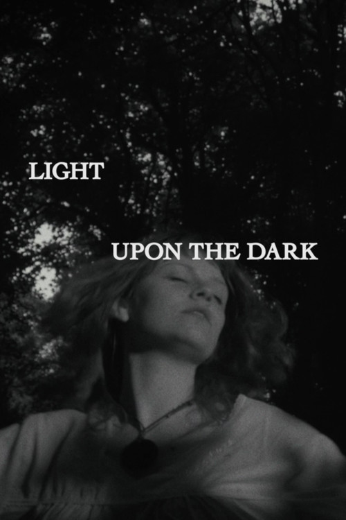 Light Upon the Dark (2026) poster