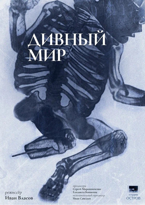 Дивный мир (2023) poster