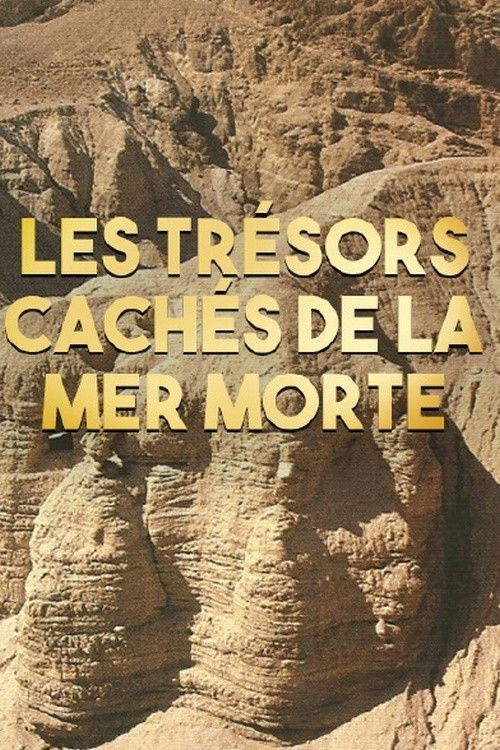 Les trésors cachés de la Mer Morte (2016) poster