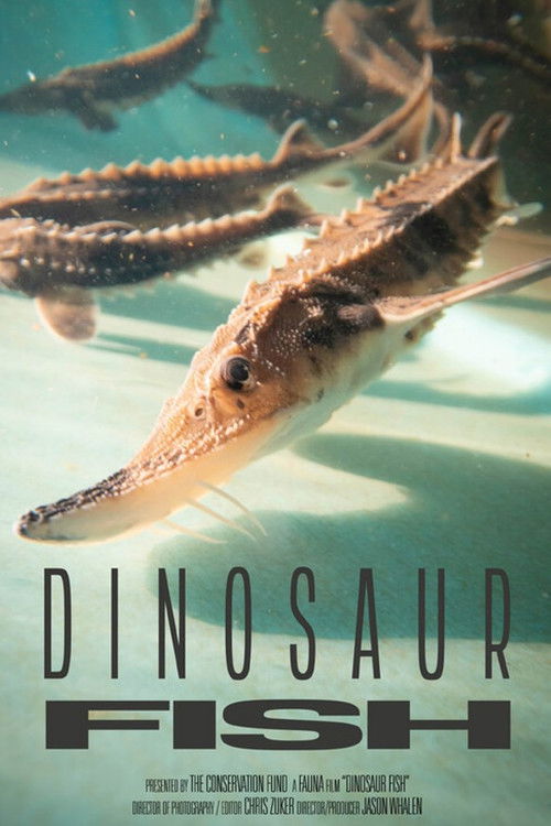 Dinosaur Fish poster