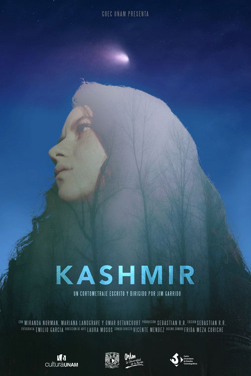 Kashmir (2018) poster