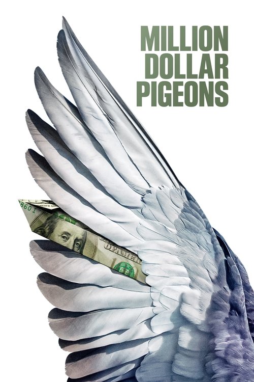 Million Dollar Pigeons (2022) poster