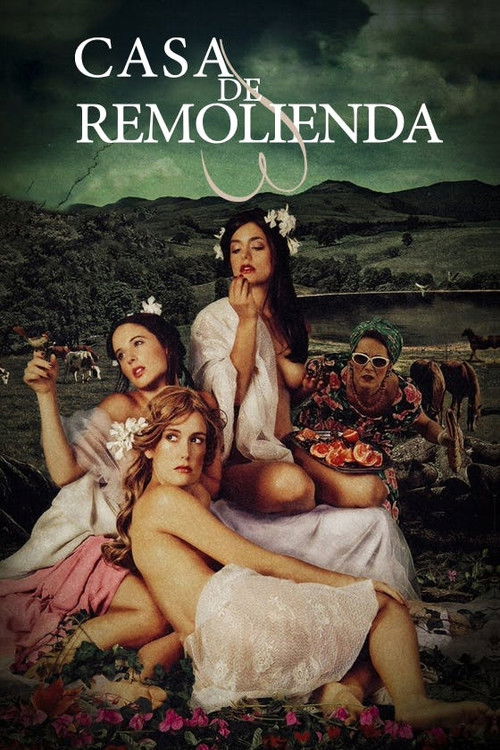 Casa de remolienda (2007) poster