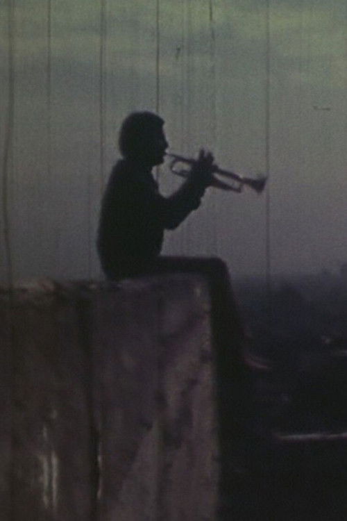 ارتفاع متروک (1972) poster