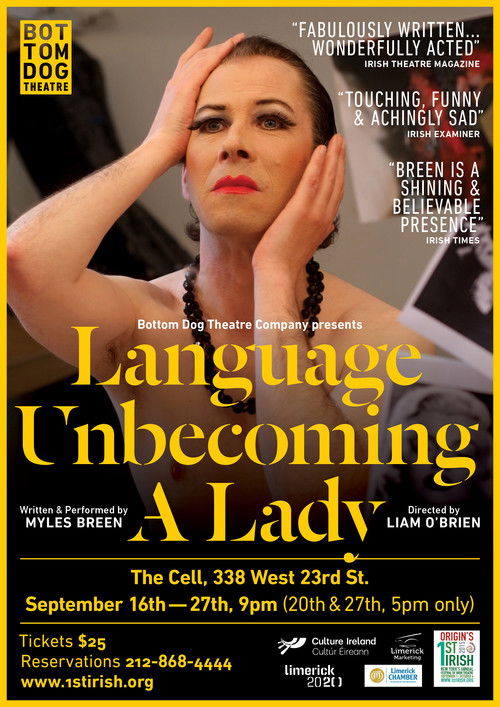 Myles Breen: Unbecoming a Lady (2015) poster