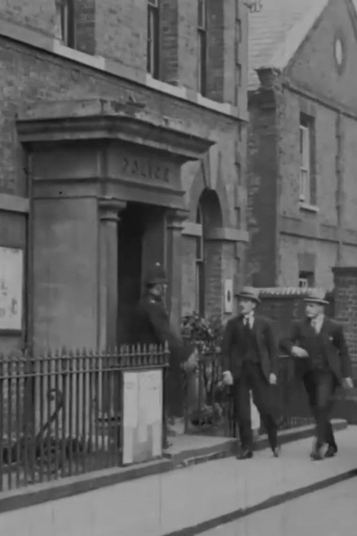 The Clue of the Pigtail (1923) poster