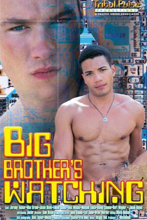 Big Brother’s Watching (2001) poster