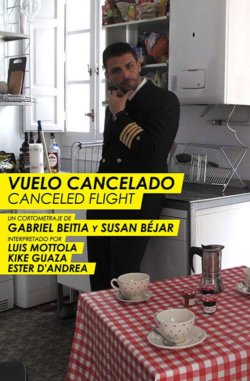 Canceled Flight (2011) poster