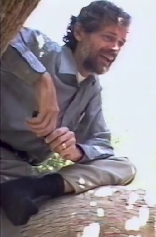 Antecedence: Terence McKenna Talks Virtual Reality (1991) poster