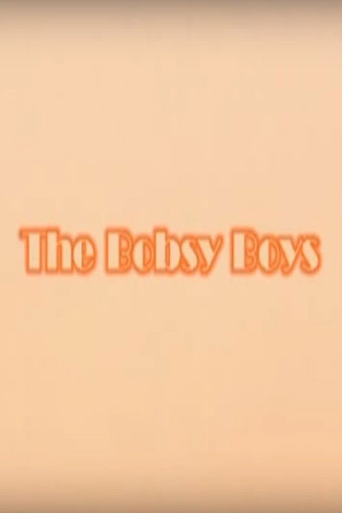 The Bobsy Boys (2004) poster
