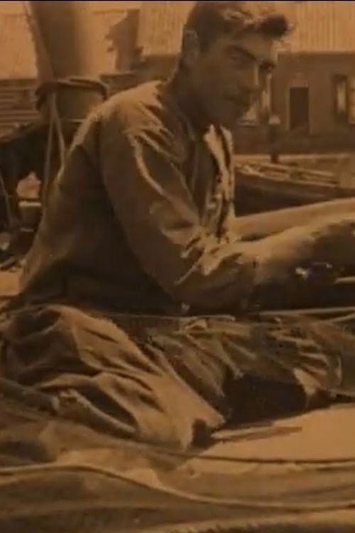 What now (1930) poster