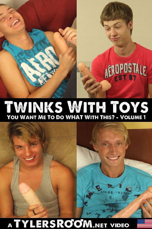 Twinks with Toys (2013) poster