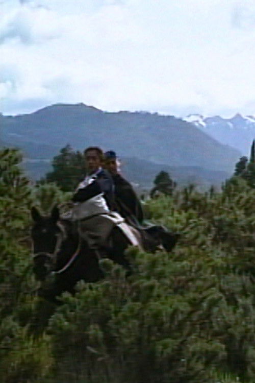 Mapuches: El país de antaño (1993) poster