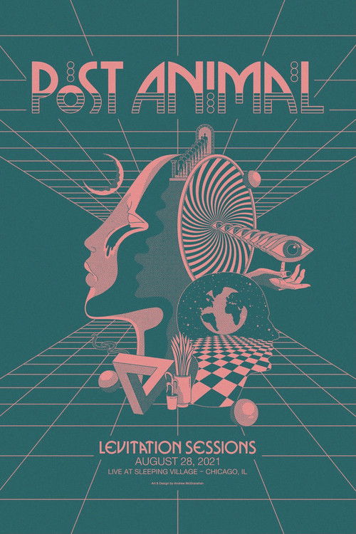 Post Animal - Levitation Sessions (2021) poster