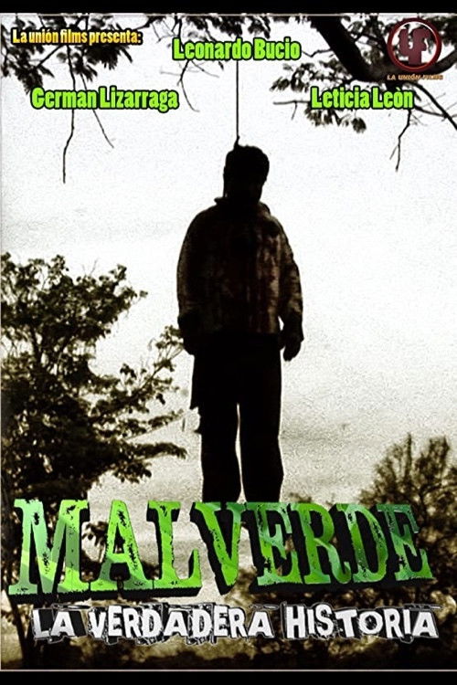 MALVERDE: La verdadera historia (2014) poster
