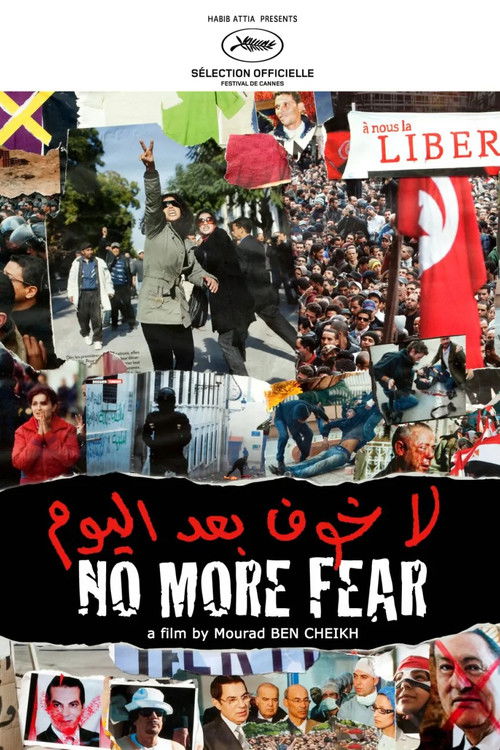 No More Fear (2011) poster