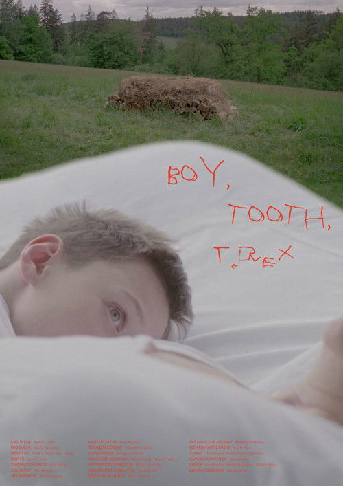 Boy, Tooth, T.Rex poster