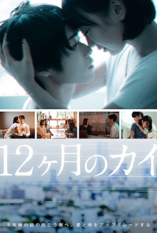 12 Months of KAI (2021) poster