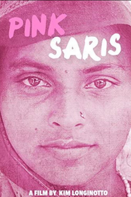 Pink Saris (2010) poster