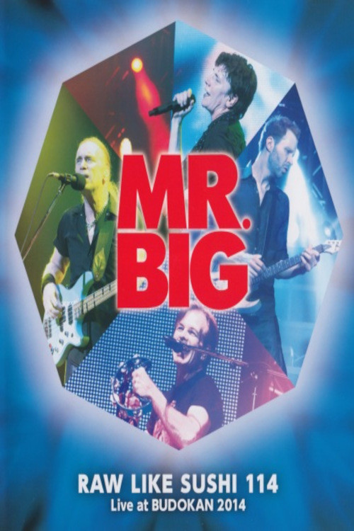Mr. Big: Raw Like Sushi 114 (2015) poster