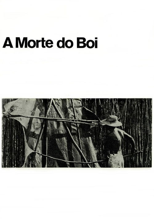 A Morte do Boi (1970) poster