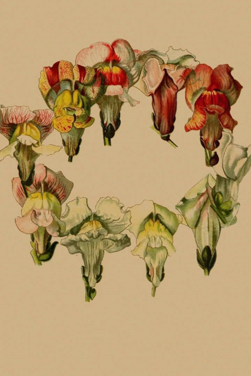 Stories In Place: Plante. (2020) poster