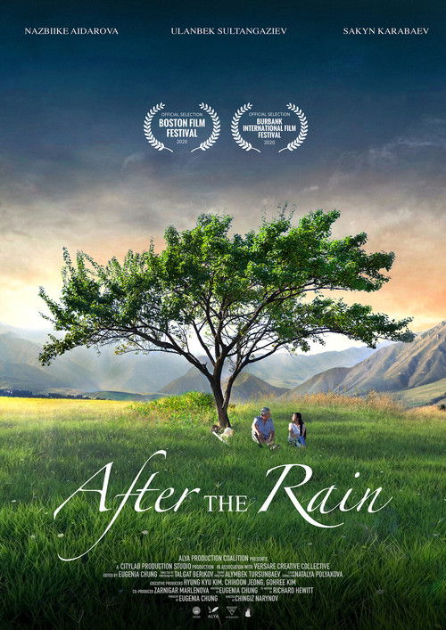 After the Rain (2019) poster