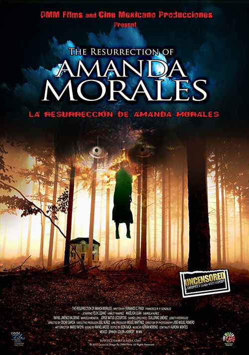 La Resurrección de Amanda Morales (2007) poster