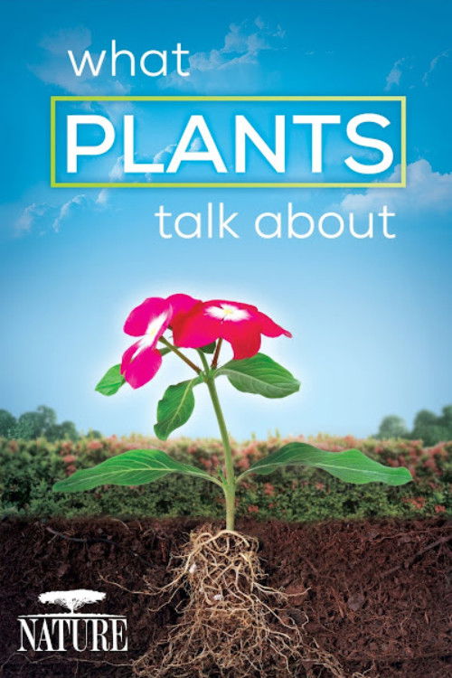 What Plants Talk About (2013) poster