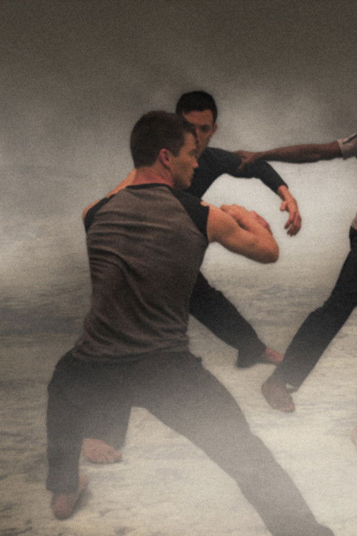 Lost Action: Trace (2011) poster